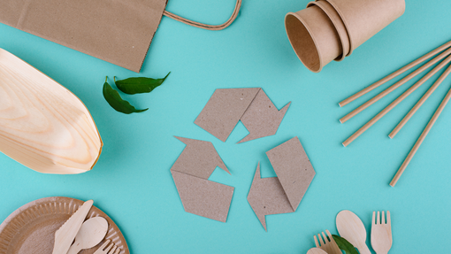 Sustainable Living Tips: Simple Ways to Make Eco-Conscious Choices in Your Everyday Life